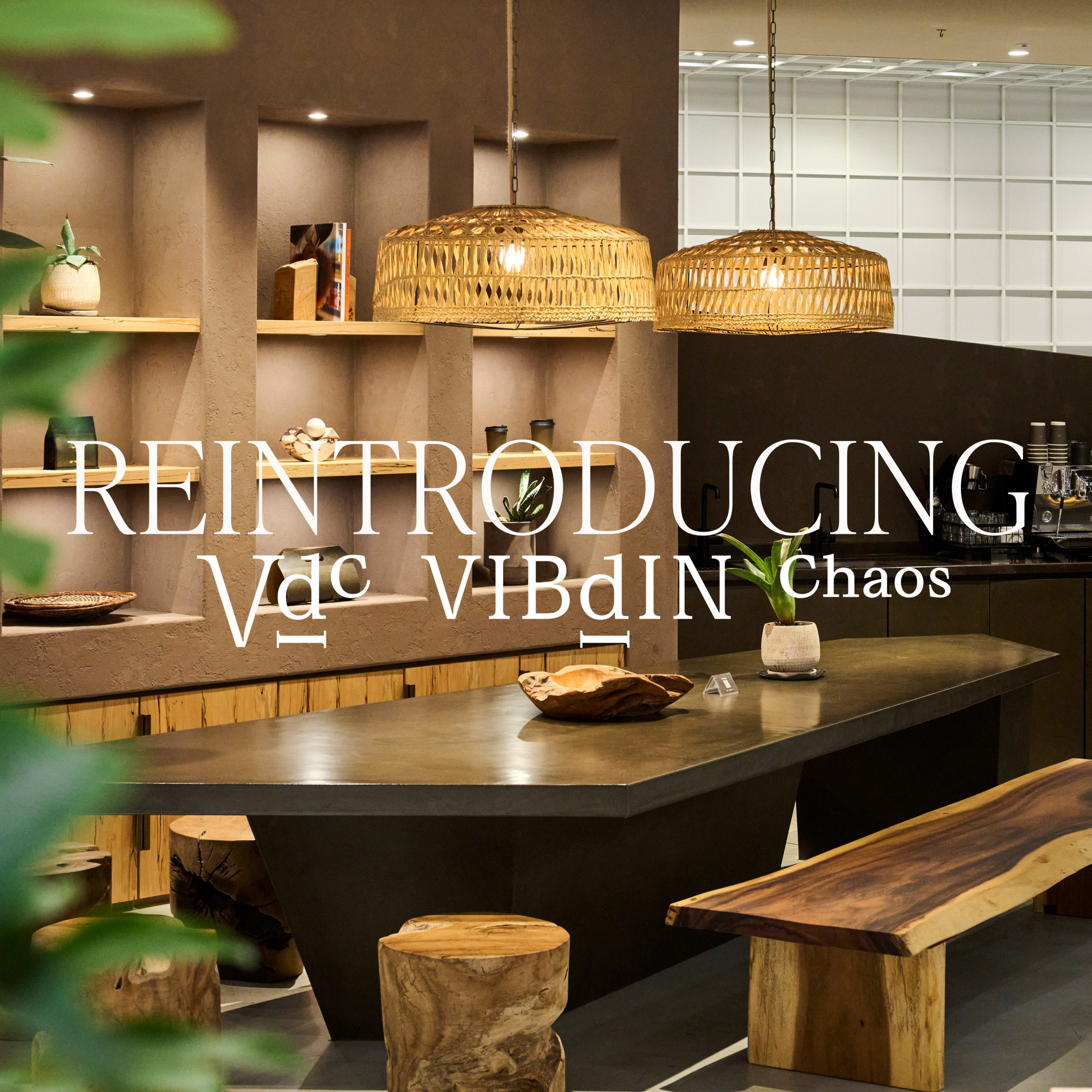 Reintroducing『VIBdIN Chaos』